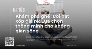 ghe luoi hat xop gia re cho khong gian song